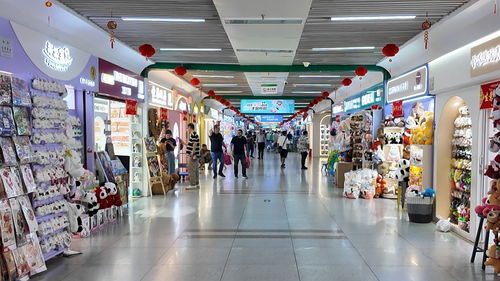 財(cái)經(jīng)觀(guān)察 總花費(fèi)增速超出游人次 今年五一消費(fèi)何以 旺丁又旺財(cái)